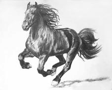 cheval 1